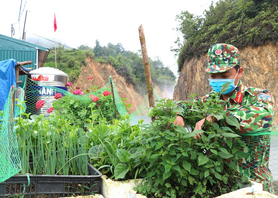 Tăng gia sản xuất ở chốt kiểm soát phòng, chống dịch Covid-19 Đồn Biên phòng Lũng Cú (Đồng Văn).