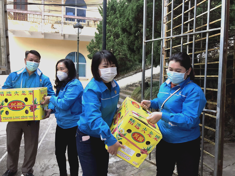 Đoàn viên công đoàn huyện Bắc Quang vận chuyển thanh long.