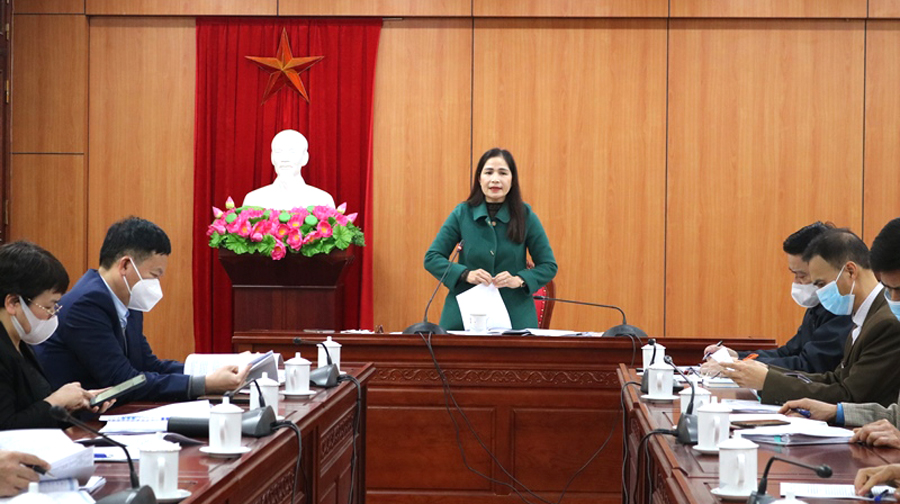 Lãnh đạo Ban Kinh tế - Ngân sách HĐND tỉnh phát biểu tại buổi làm việc với các sở, ngành.