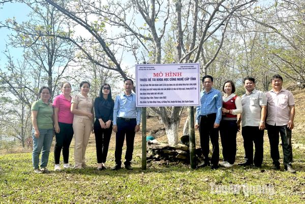 Na Hang nghiệm thu mô hình cây lê nâu bản địa